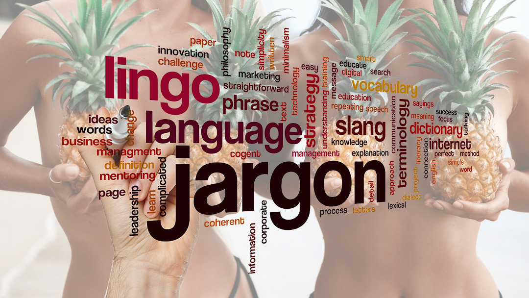Swingers glossary with lifestyle terms and definitions like hotwife, full swap, unicorn, and soft swap